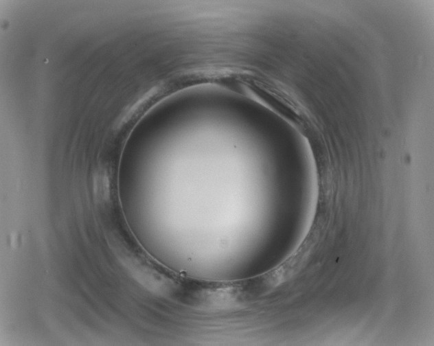 X0000080200120200612081437