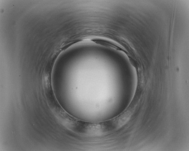 X0000080200123200612081437