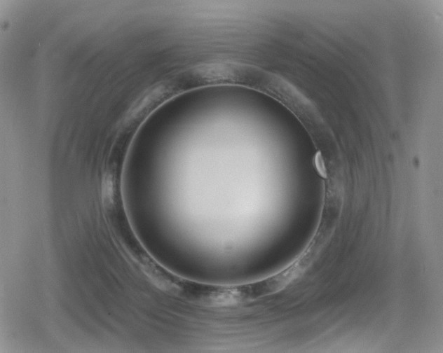 X0000080200124200612081437