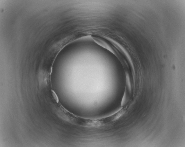 X0000080200125200612081437