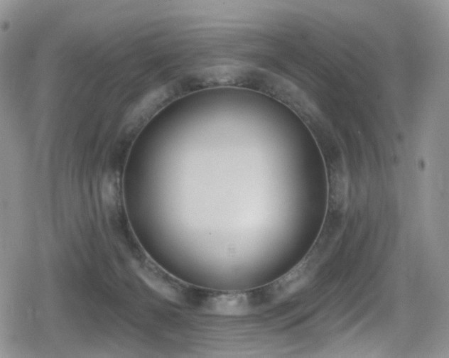 X0000080200126200612081437