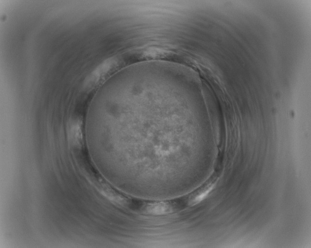 X0000080200127200612081437