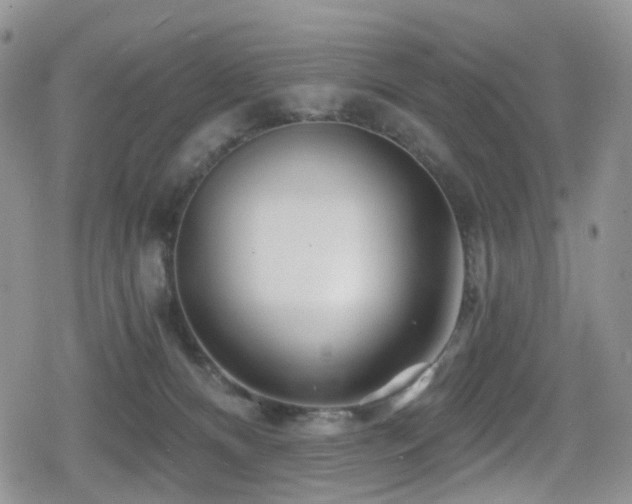 X0000080200128200612081437