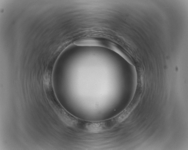 X0000080200129200612081437