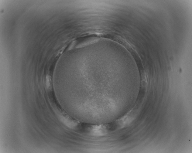 X0000080200130200612081437