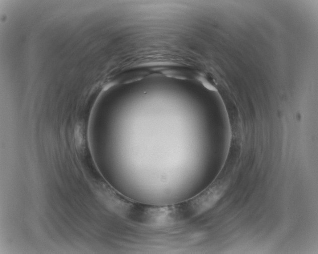 X0000080200131200612081437