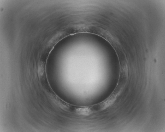 X0000080200133200612081437