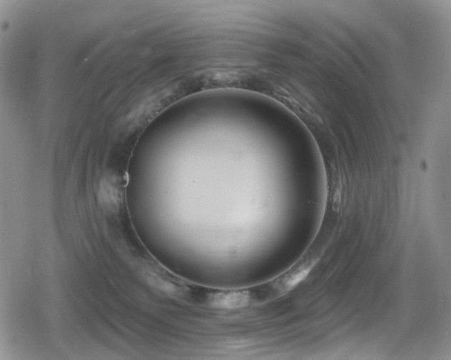 X0000080200135200612081437