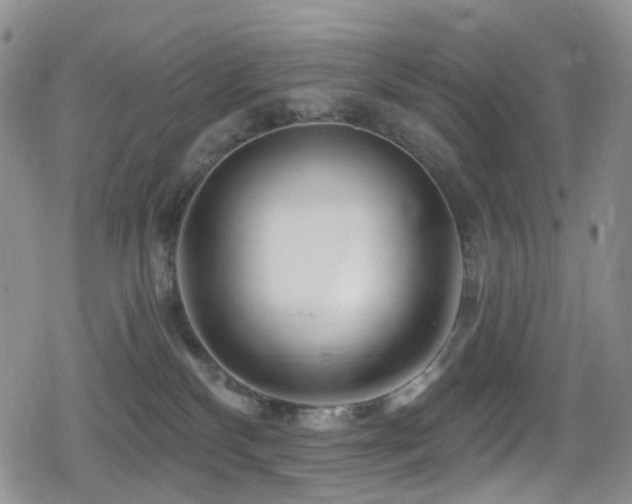 X0000080200136200612081437