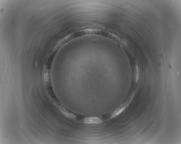 X0000080200137200612081437