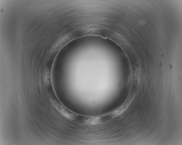 X0000080200138200612081437