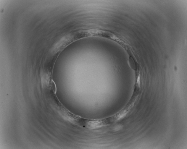 X0000080200139200612081437