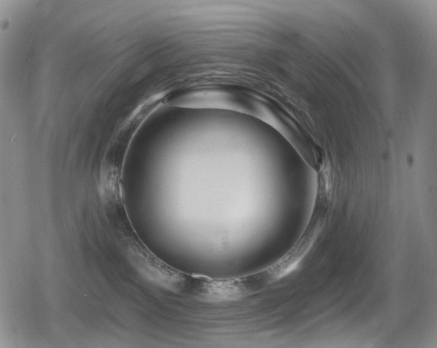 X0000080200141200612081437