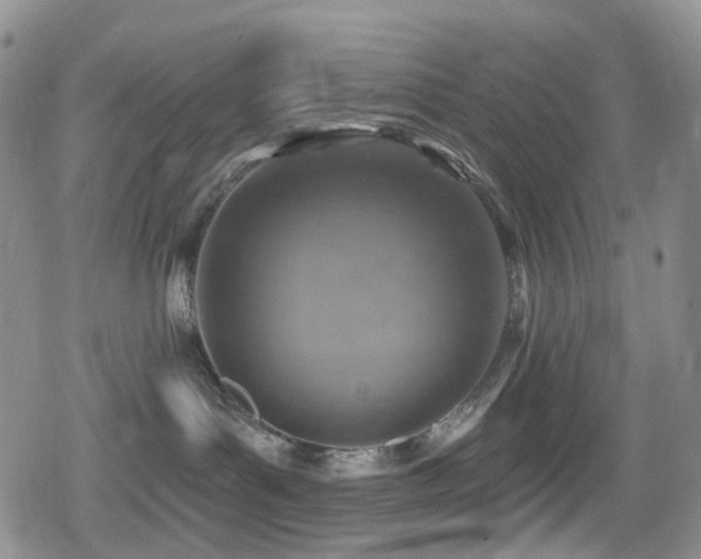 X0000080200143200612081437