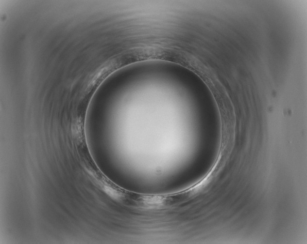 X0000080200144200612081437