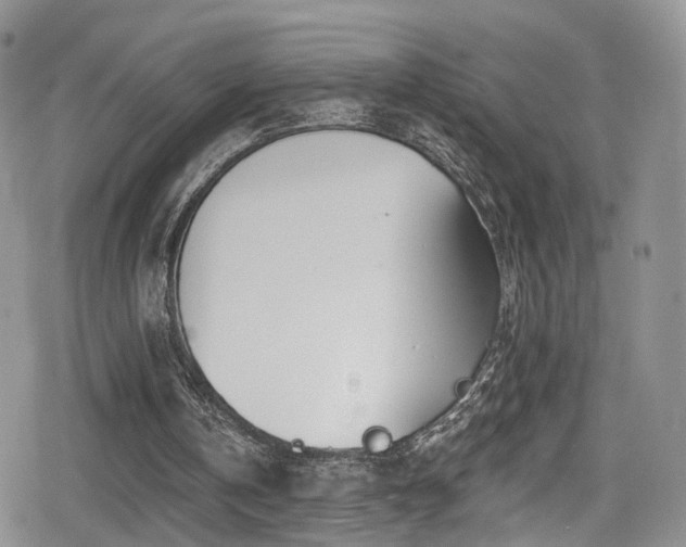 X0000080200146200612081436