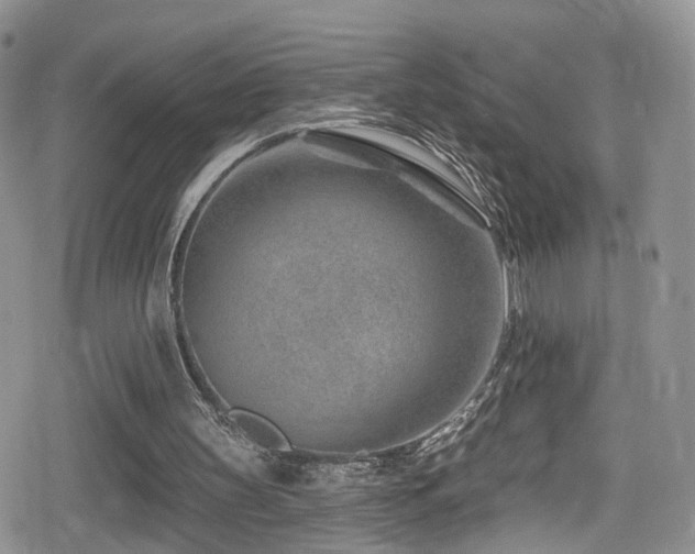 X0000080200147200612081436