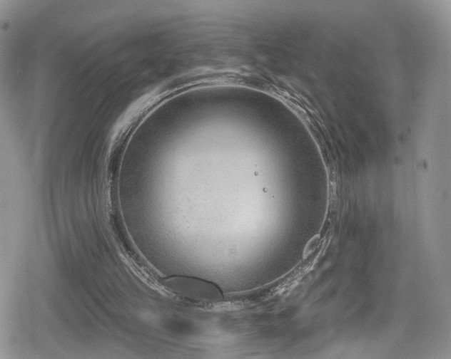 X0000080200149200612081436