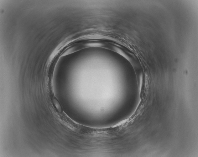 X0000080200150200612081436