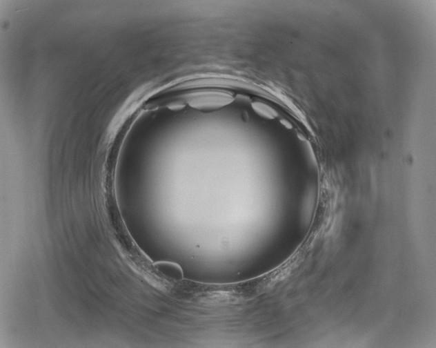 X0000080200151200612081436