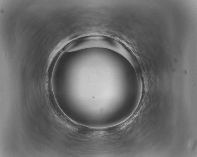 X0000080200152200612081436