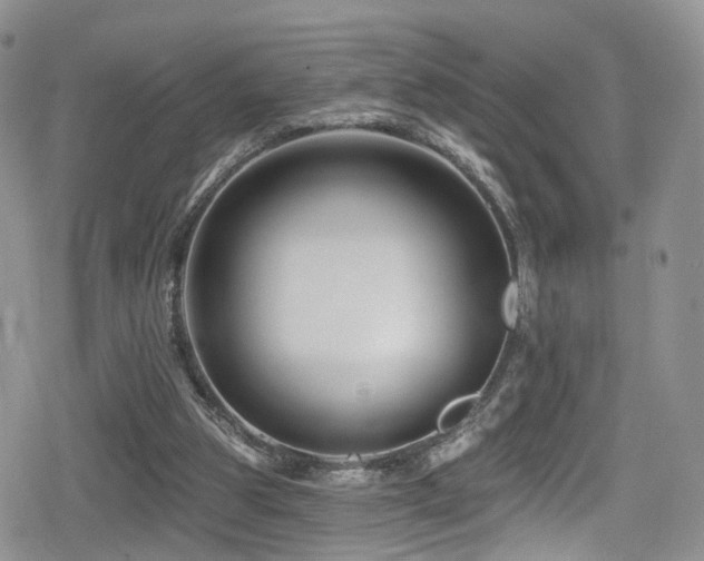 X0000080200153200612081436