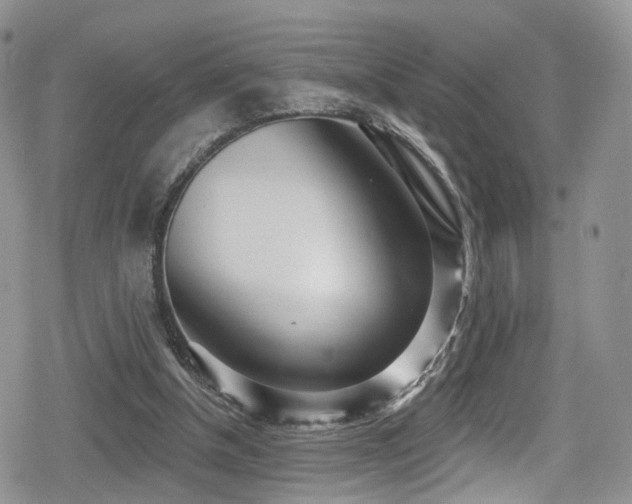 X0000080200154200612081436