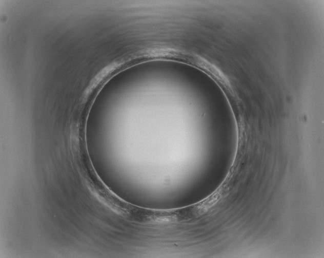 X0000080200155200612081436