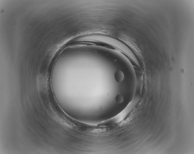 X0000080200156200612081436