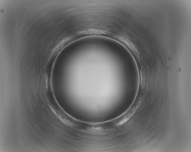 X0000080200157200612081436