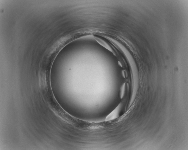 X0000080200158200612081436