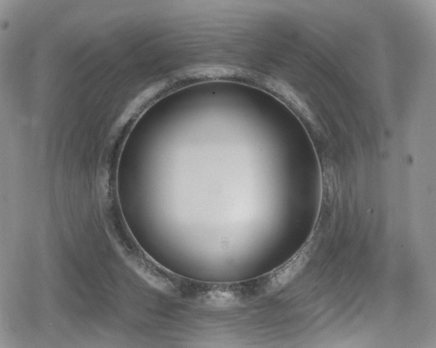 X0000080200159200612081436