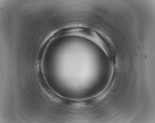 X0000080200160200612081436