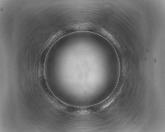 X0000080200161200612081436