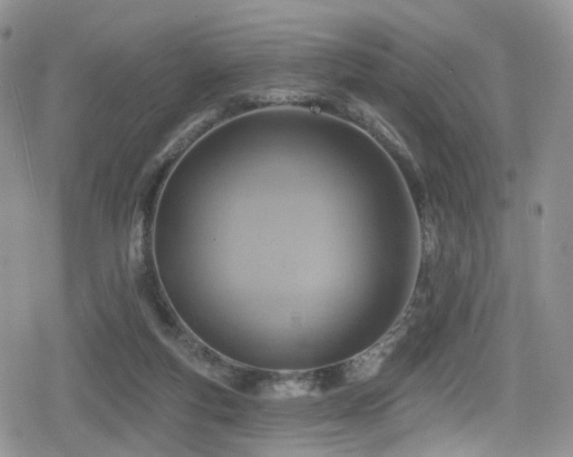 X0000080200163200612081436