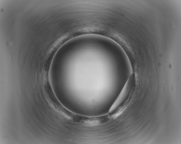 X0000080200164200612081436