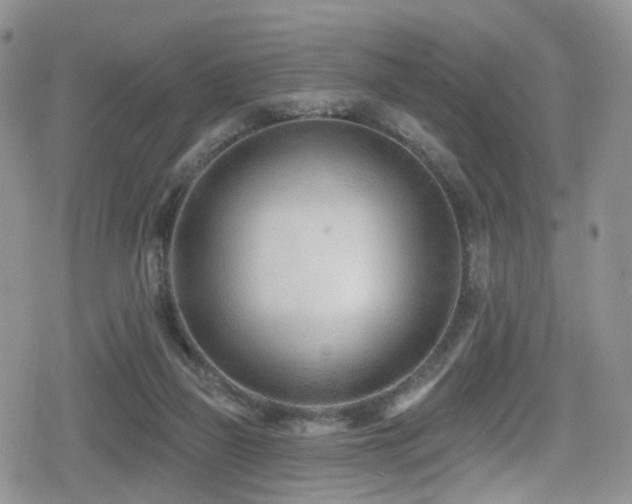 X0000080200165200612081436