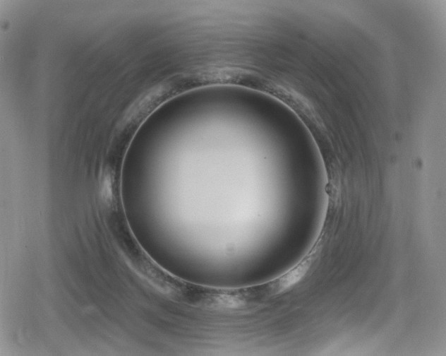 X0000080200166200612081436