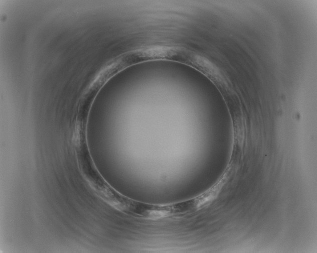 X0000080200167200612081436