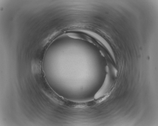 X0000080200168200612081436