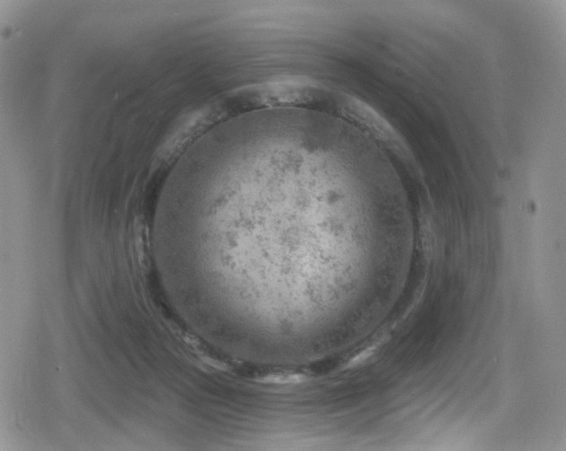 X0000080200169200612081436