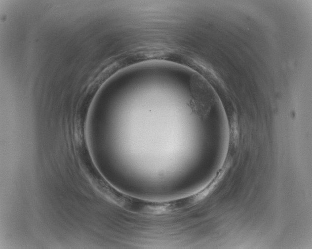 X0000080200170200612081436