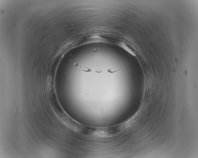 X0000080200171200612081436