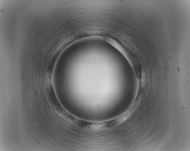 X0000080200172200612081436