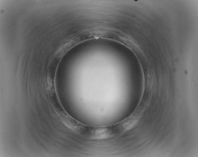 X0000080200173200612081436