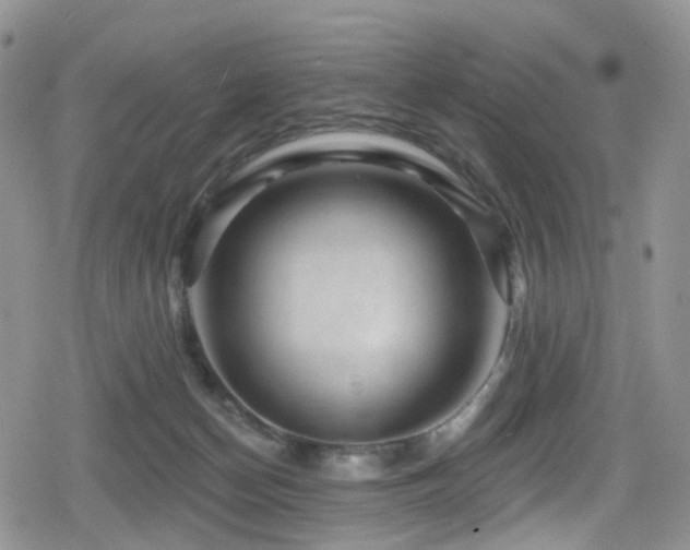 X0000080200174200612081436