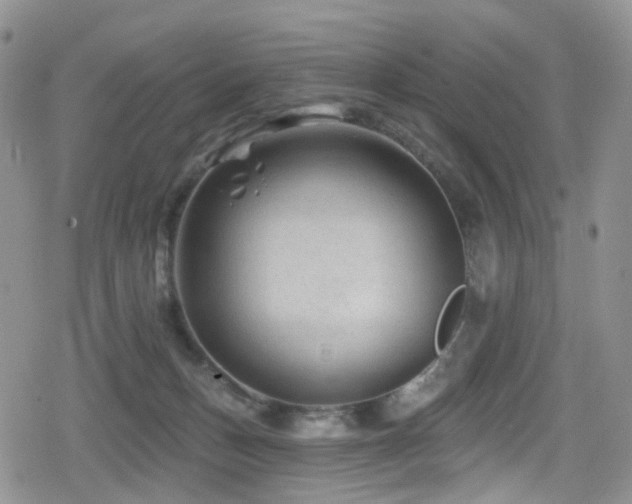 X0000080200175200612081436