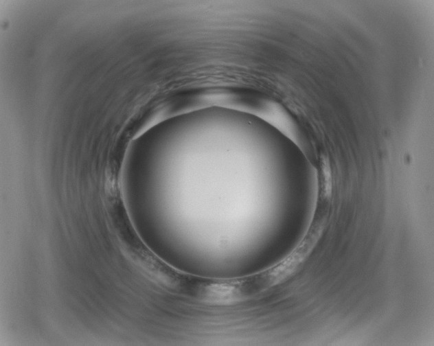 X0000080200176200612081436