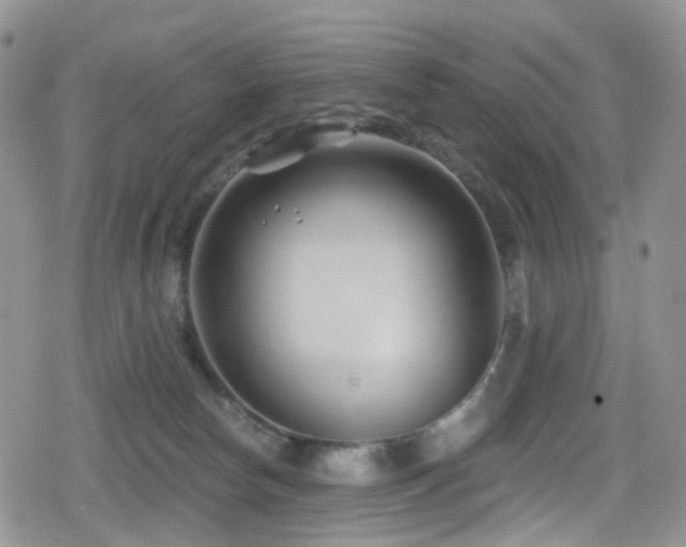 X0000080200178200612081436