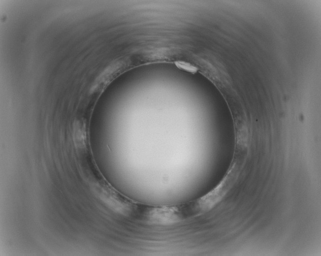 X0000080200179200612081436